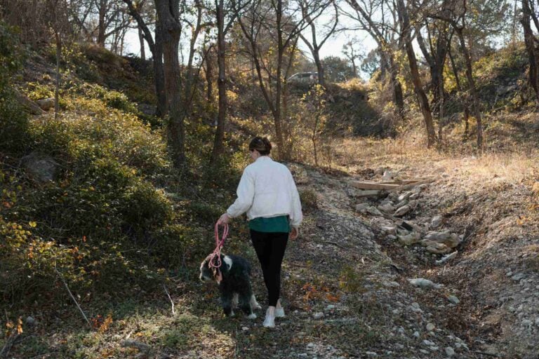 Hiking Trails